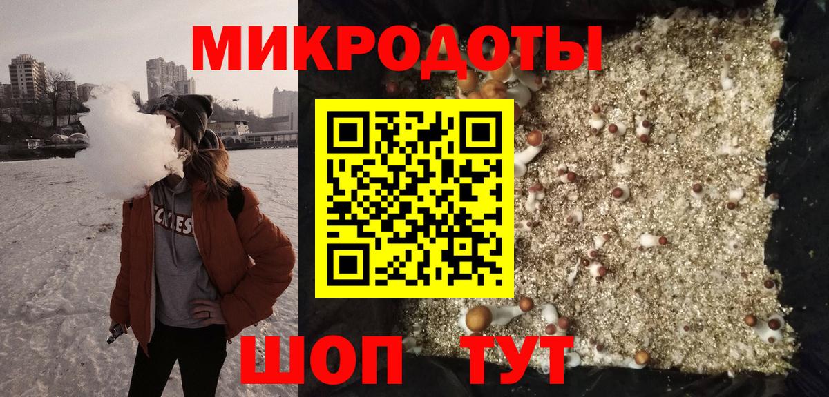 Псилоцибиновые грибы прущие грибы  Галлюциногенные грибы прущие грибы  Ачхой-Мартан  купить наркоту  Вход с VPN 